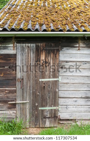 Barn door and roof covered with moss. This is an image of on old barn door and a roof covered with green moss.
