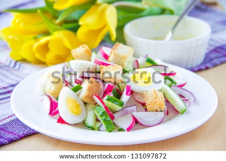 Spring salad with radishes, cucumbers, eggs and crouton in white plate