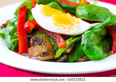 Fresh green salad with spinach, mushrooms, red pepper paprika, egg on plate