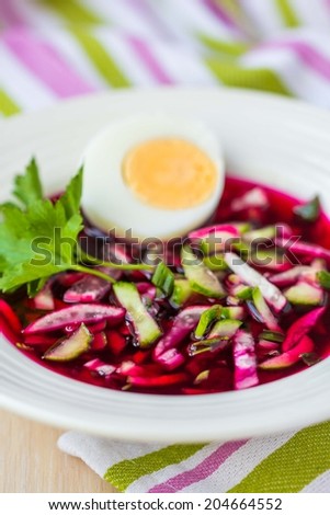 Delicious cold beet soup with cucumber, radish, egg, summer dish