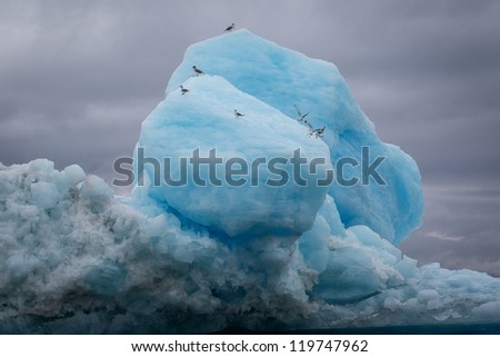 Big iceberg and birds