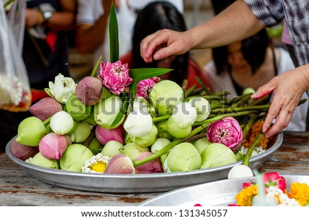 A bunch of Lotus flowers for Buddhist prayer.