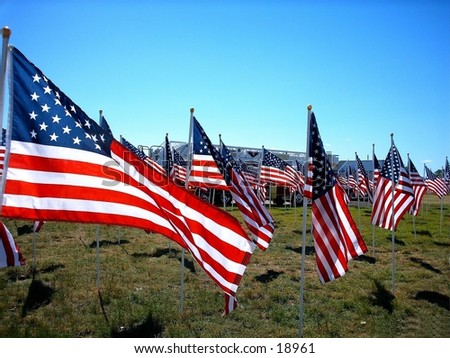 A field of flags.