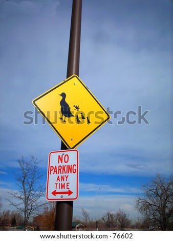 Duck crossing signage