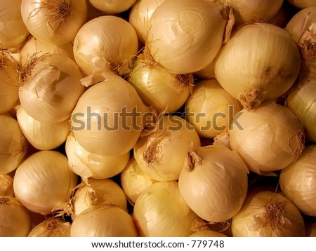 White Onion Background