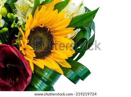 bouquet of sunflowers, isolated on white background