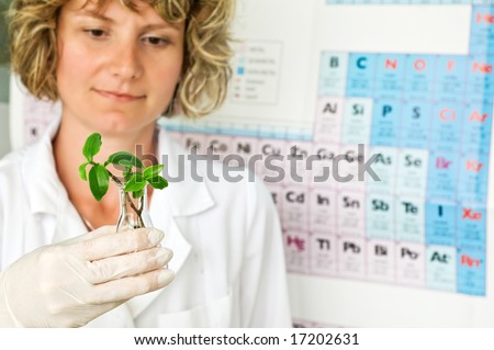 woman scientist watching a plant in test tube background periodic system of chemical elements