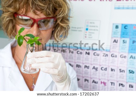 woman scientist watching a plant in test tube background periodic system of chemical elements