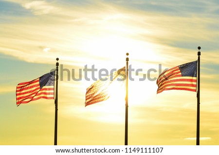 United States of America National Flags - The flags circling around the Washington Monument in Washington DC - USA