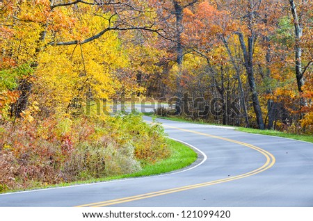 Curved road to forest in autumn