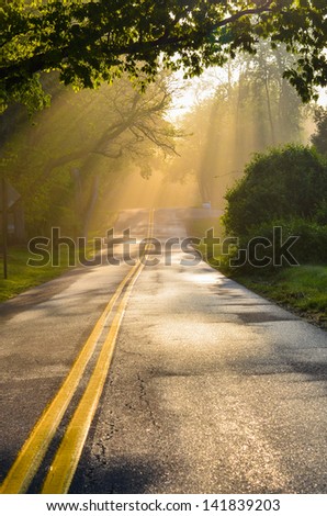Forest road in early foggy morning with visible sun rays
