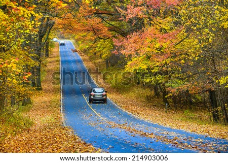 Asphalt road with autumn foliage - Shenandoah National Park, Virginia United States