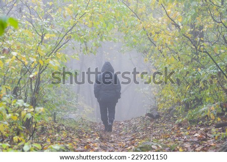 Mysterious person walks into foggy forest