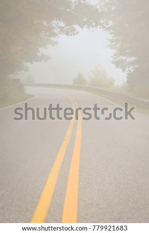 Asphalt road into misty forest in autumn