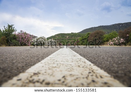 low angle shot of road line on scenic road - shallow depth of field