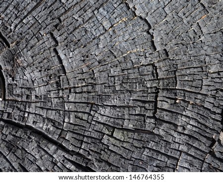 Partially burnt wood retains its structure and forms a grim pattern. / Partially burnt wood