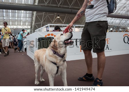 MILAN, ITALY - JUNE 8: Quattrozampe in fiera exhibition in Milan, JUNE 8, 2013. People and dogs visit Quattrozampe in fiera exhibition, important event dedicated to dogs and their owners.