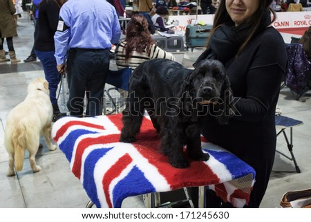 MILAN, ITALY - JANUARY 11: People and dogs take part in the international dogs exhibition of Milan, the most important dog show in Italy, on JANUARY 11, 2014 in Milan.