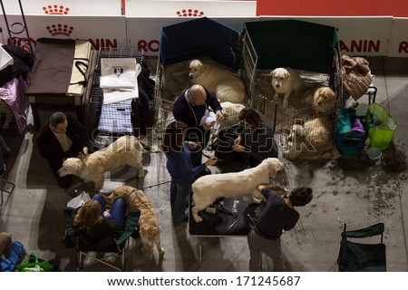 MILAN, ITALY - JANUARY 11: Top view of people and dogs at the international dogs exhibition of Milan, the most important dog show in Italy, on JANUARY 11, 2014 in Milan.