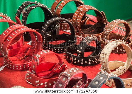 MILAN, ITALY - JANUARY 11: Detail of leather collars at the international dogs exhibition of Milan, the most important dog show in Italy, on JANUARY 11, 2014 in Milan.