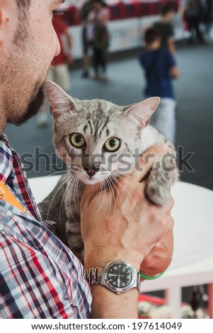 MILAN, ITALY - JUNE 7: Beautiful cat with its owner at Quattrozampeinfiera, event and activities dedicated to dogs, cats and their owner on JUNE 7, 2014 in Milan.