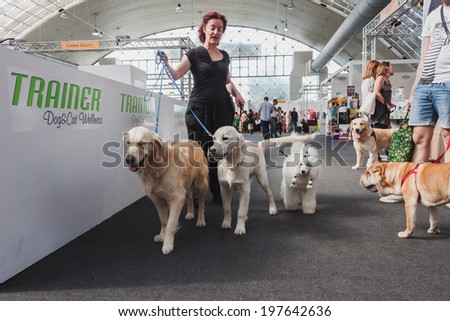 MILAN, ITALY - JUNE 7: People and dogs visit Quattrozampeinfiera, event and activities dedicated to dogs, cats and their owner on JUNE 7, 2014 in Milan.