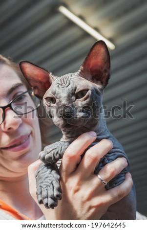 MILAN, ITALY - JUNE 7: Beautiful cat at Quattrozampeinfiera, event and activities dedicated to dogs, cats and their owner on JUNE 7, 2014 in Milan.