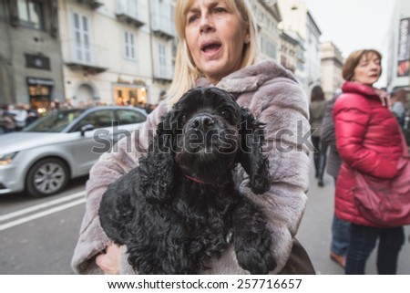 MILAN, ITALY - MARCH 1: Cute dog outside Trussardi fashion show building for Milan Women\'s Fashion Week on MARCH 1, 2015  in Milan.