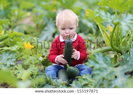 Funny little baby girl in colorful red sweater plays with ripe zucchini freshly picked from a vegetable field on farm