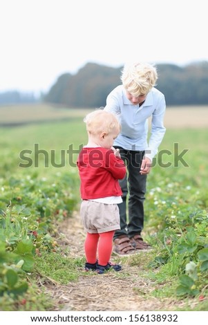 Brother a little baby sister walking together along strawberry field in a farm gathering delicious berries