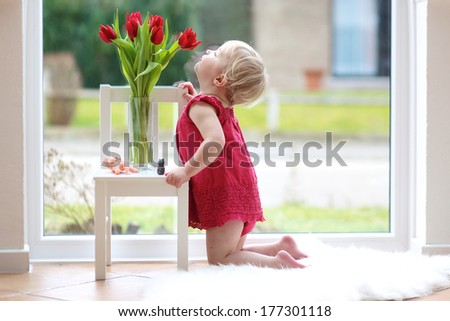 Pretty blonde toddler girl smelling beautiful tulips standing on the tiles floor table next to a big window with street view