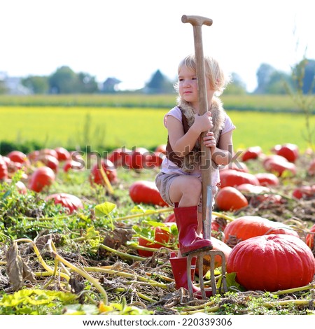 Happy little child, cute toddler girl in casual outfit and red rubber boots, enjoying nature working with pitchfork helping to harvest huge bio pumpkins growing in organic family field on sunny day