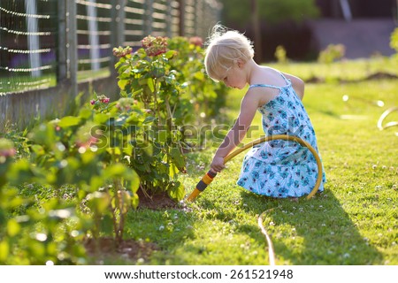 Little child, adorable blonde toddler girl, watering the plants, beautiful Hortensia flowers, from hose spray in the garden at the backyard of the house on a sunny summer evening