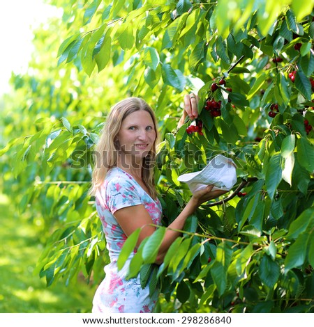 Young beautiful woman picking ripe delicious sweet cherries from the tree in agricultural bio farm on sunny summer day