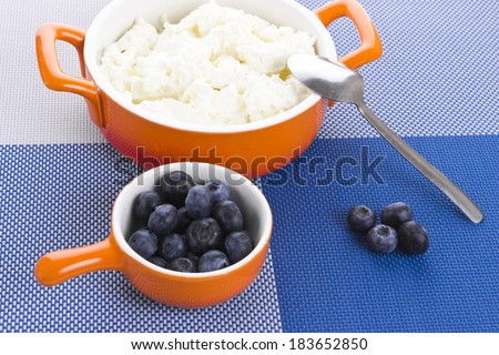 Small orange bowl with fresh cottage-cheese and blueberry