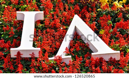 White arabic number is on the red flowers