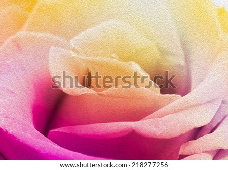 Pastel rose in soft and blurred style for background