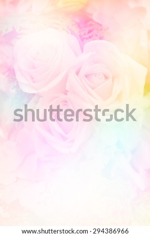 Sweet colors roses in blur style made with color filter for background design
