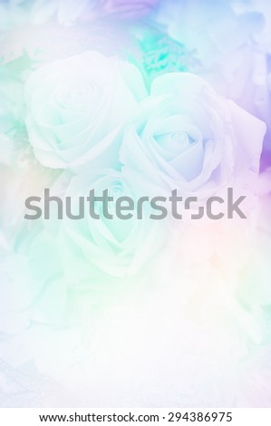Sweet colors roses in blur style made with color filter for background design