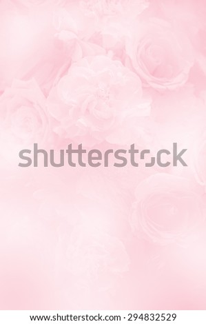 Sweet soft color rose in blur style made with color filter for background