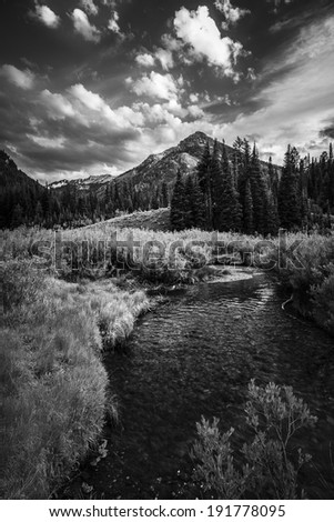 Black and white Cardiff Fork in Big Cottonwood Canyon.