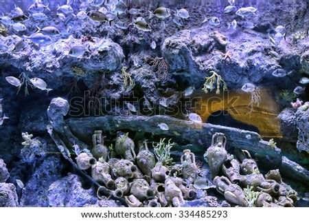 Fish swim around a sunken ship with amphoras
