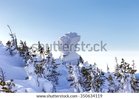 Unusual rock plastered with snow. Winter forest landscape