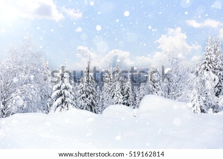 Winter forest against mountains