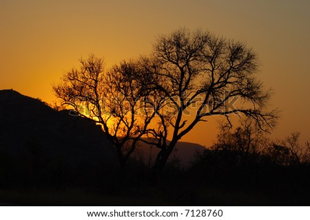 Sunset in Africa. The photo was taken in Mpumalanga, South Africa.