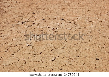 Desert dry mud