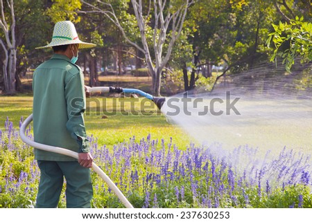 The gardener watering the flower