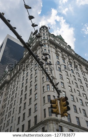 Traffic Light in New York, Manhattan 5th Avenue