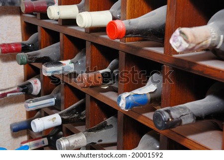 wine cellar with bottles of wine