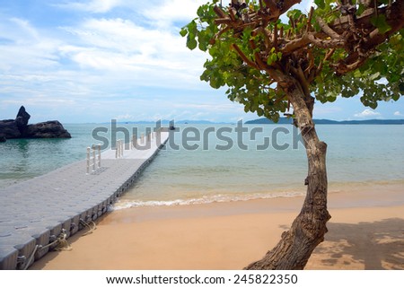 View of the sea, tree, pontoon mooring and boat